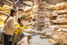 (團號 : PXZ-01/26) <一人成團> 蘋果西瓜×星空圖書館×  最大規模室內動物園 暢玩 一天團