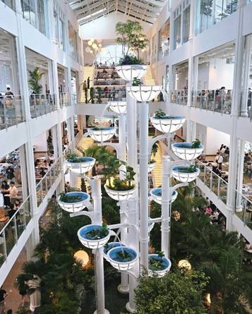 (團號: SYX-01) <一人成團> 繽紛繡球花 & 必訪「森林秘境咖啡廳」& 樂天Premium Outlet  & 韓國人氣大型藥局 一天團