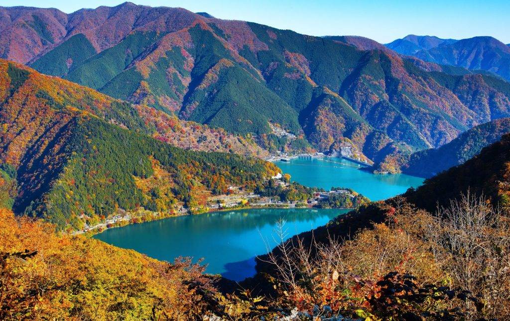 東京出發◆高尾山, 奥多摩湖 賞花 一天遊【紅葉名所-高尾山 ▎奥多摩湖~ 麥山浮橋 】(KTM-01A)