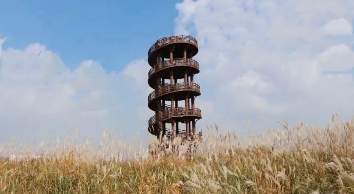(團號：BF-01) 美食推廣第2波 踩點人氣韓劇拍攝地+星空圖書館+紅蟹貝肉類吃到飽玩樂美食一天團
